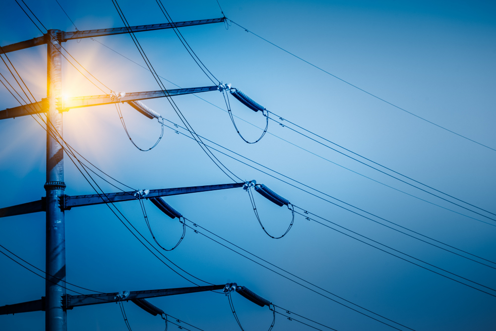 Surge Protection